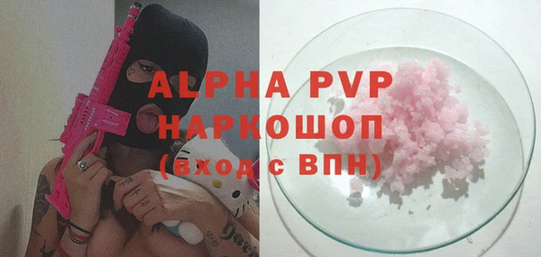 твердый Богданович