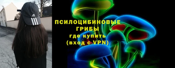 шишки Бугульма