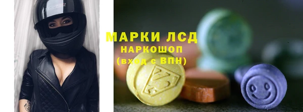 твердый Богданович