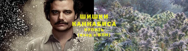 твердый Богданович