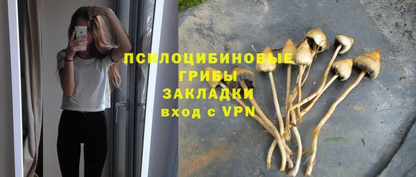spice Богородск