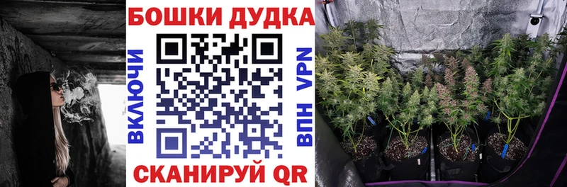 как найти   Сретенск  Конопля Ganja 